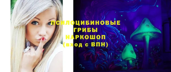 спиды Алексеевка