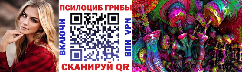 хочу   Полевской  Галлюциногенные грибы GOLDEN TEACHER 